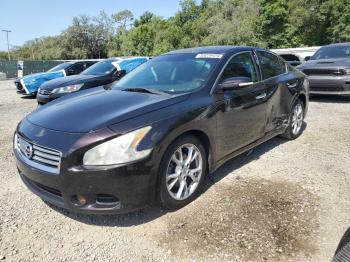  Salvage Nissan Maxima
