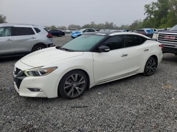  Salvage Nissan Maxima