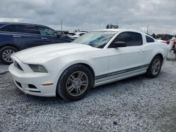  Salvage Ford Mustang
