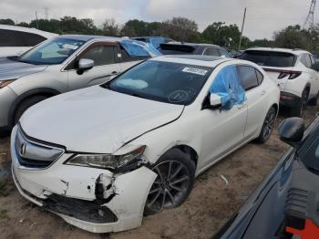  Salvage Acura TLX