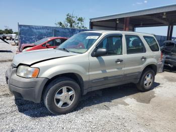  Salvage Ford Escape