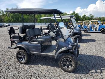  Salvage Aspt Golf Cart
