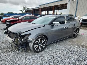  Salvage Nissan Maxima