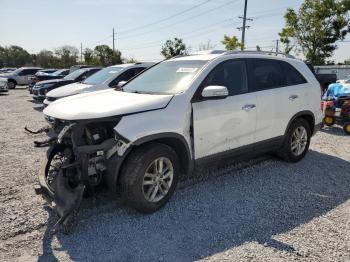  Salvage Kia Sorento