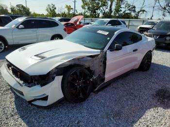  Salvage Ford Mustang