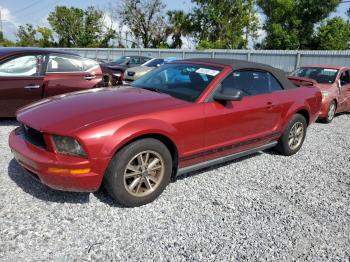  Salvage Ford Mustang