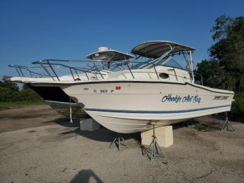  Salvage Sportcraft Boats 252 Fish