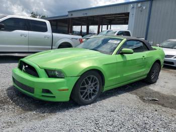  Salvage Ford Mustang