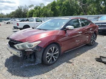  Salvage Nissan Maxima