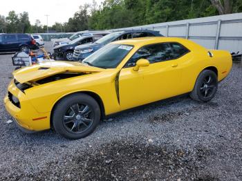  Salvage Dodge Challenger