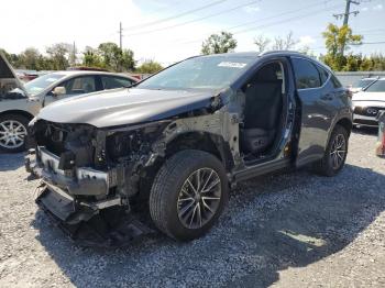  Salvage Lexus NX