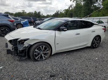  Salvage Nissan Maxima