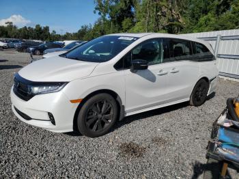  Salvage Honda Odyssey
