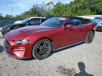  Salvage Ford Mustang
