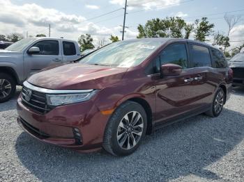  Salvage Honda Odyssey