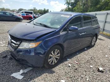  Salvage Honda Odyssey