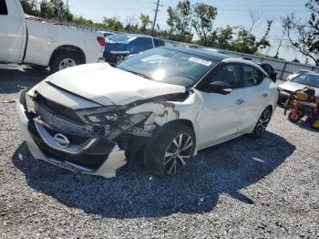 Salvage Nissan Maxima