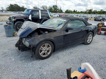  Salvage Ford Mustang
