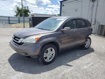 Salvage Hond Crv