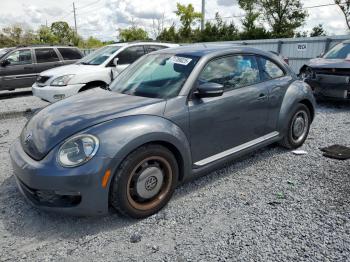  Salvage Volkswagen Beetle