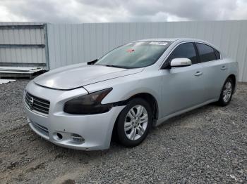  Salvage Nissan Maxima