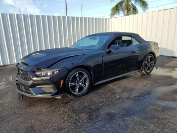 Salvage Ford Mustang