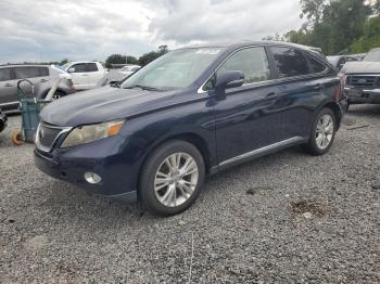  Salvage Lexus RX