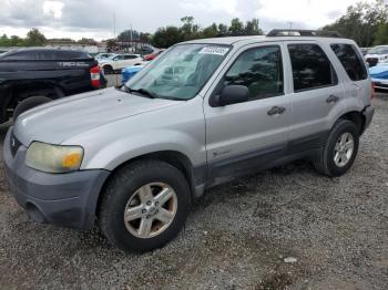  Salvage Ford Escape