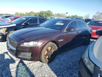  Salvage Jaguar XF