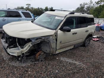  Salvage Ford Bronco