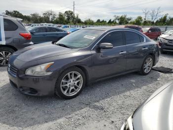  Salvage Nissan Maxima