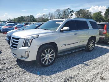  Salvage Cadillac Escalade