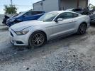 Ford Mustang Image 1