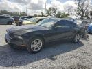 Ford Mustang Image 1