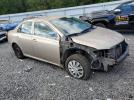 Toyota Corolla Base Image 2