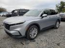Honda Crv Exl Image 1
