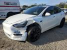 Tesla Model Y Image 1