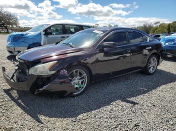  Salvage Nissan Maxima