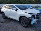 Lexus NX 250 Premium Image 3