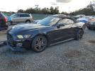 Ford Mustang Image 1