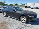 Ford Mustang Image 2