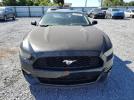 Ford Mustang Image 7