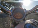 Harley-Davidson Xl883 C C Image 6