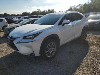  Salvage Lexus NX