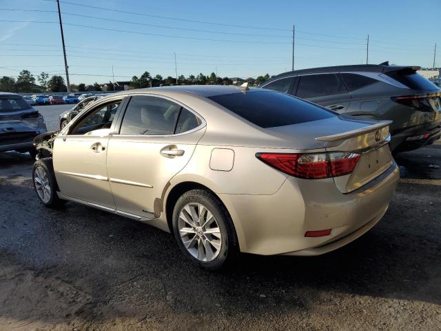 Lexus Es 300h Image 4