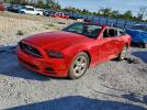 Ford Mustang Image 1
