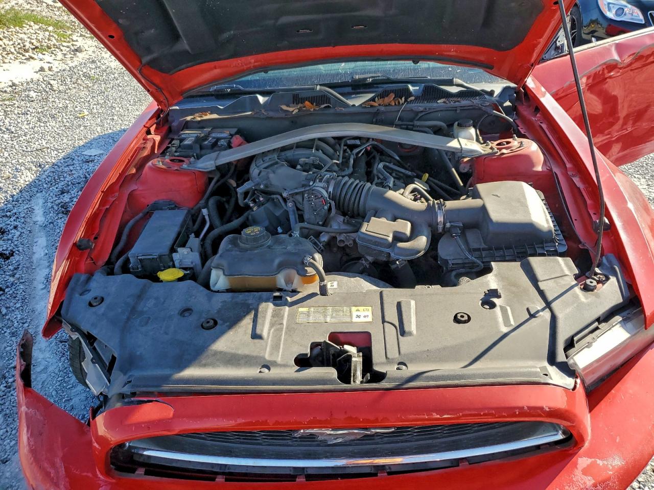 Ford Mustang Image 11