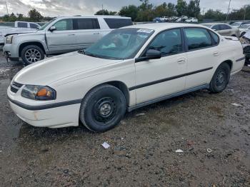  Salvage Chevrolet Impala
