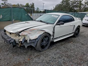  Salvage Ford Mustang