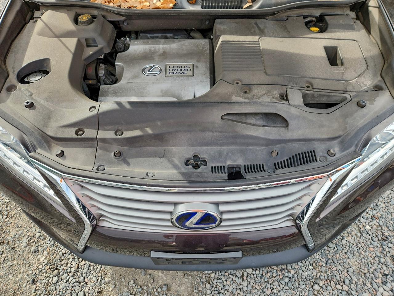 Lexus RX 450h Image 7